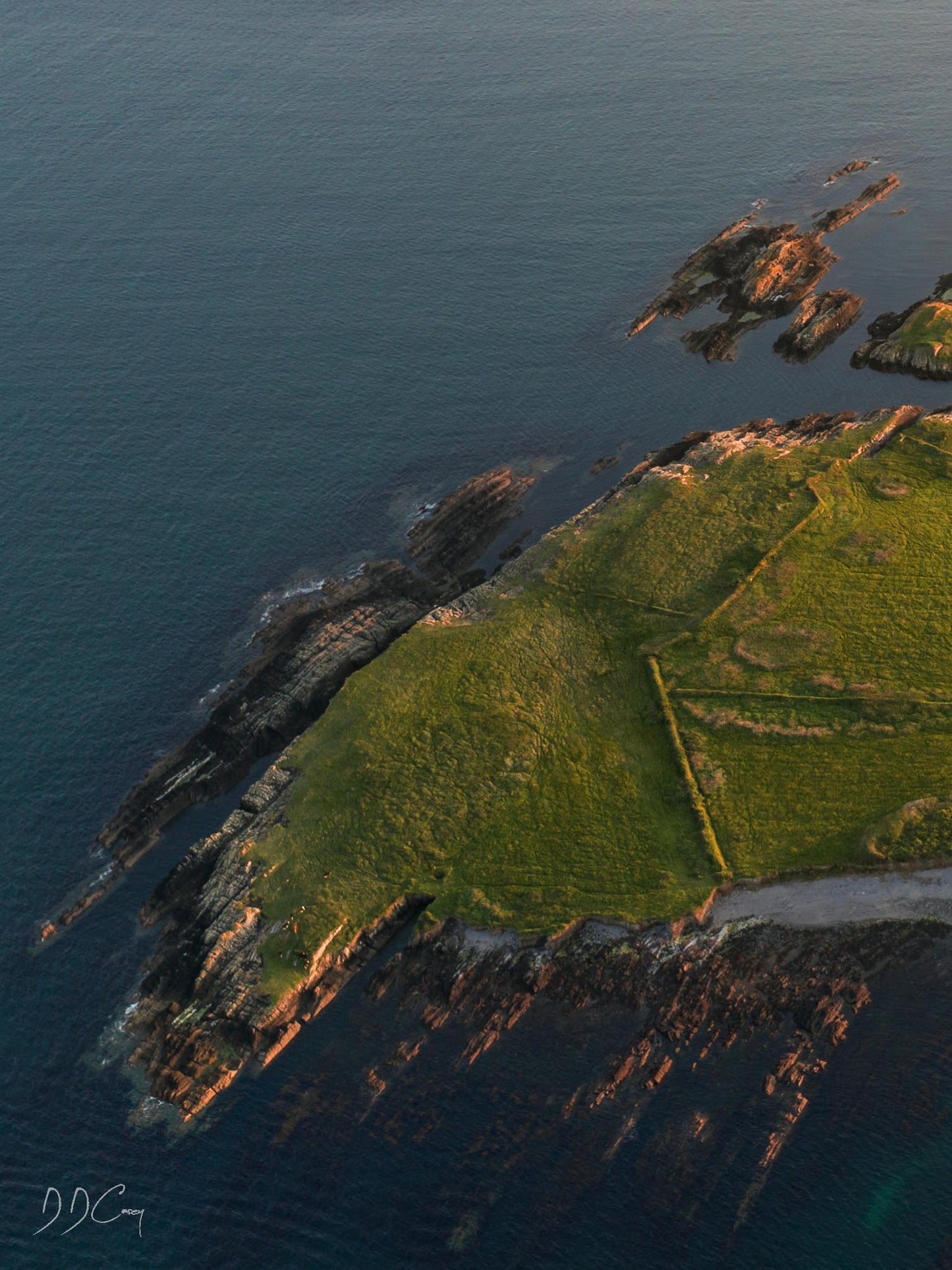 East Calf